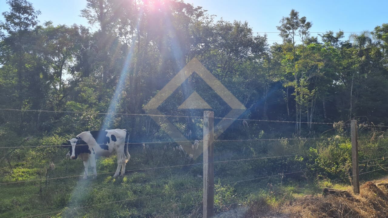 Área de Terras em Rio Pardinho | TE-00180