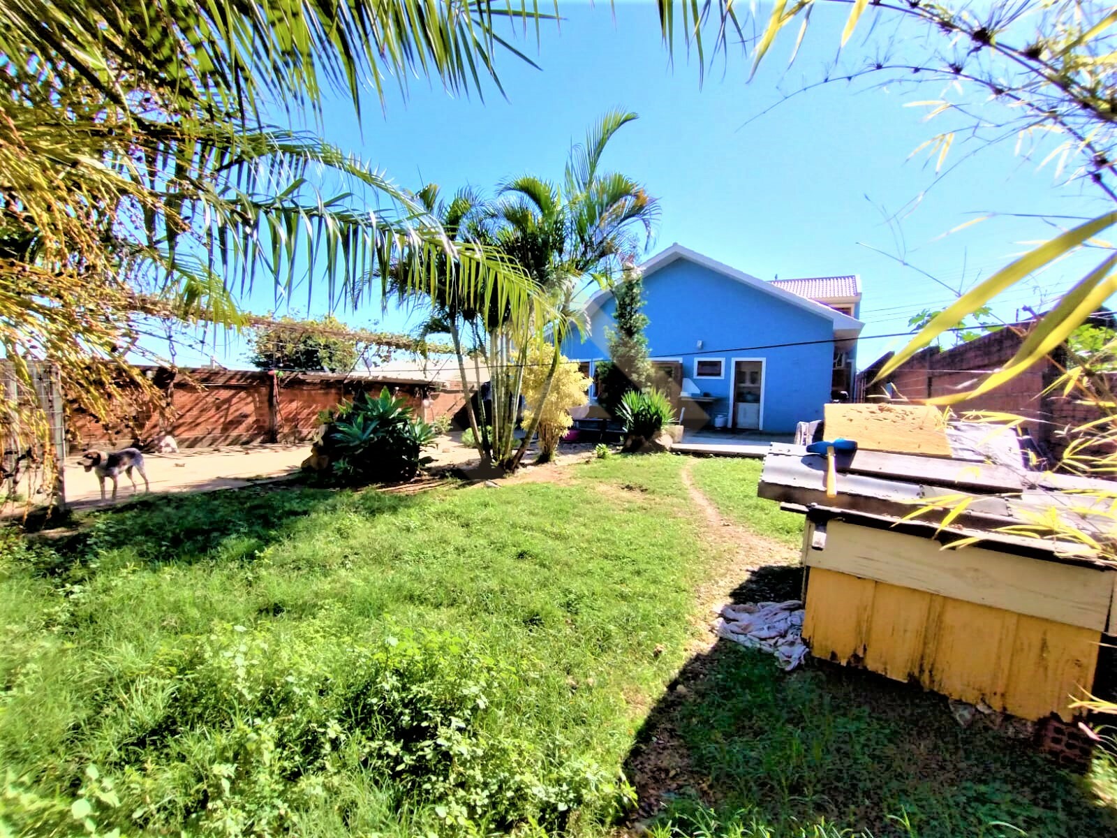 Casa Alvenaria no bairro Monte Verde | CA-00361