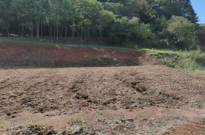 Terreno no Jardim Europa | TE-00371